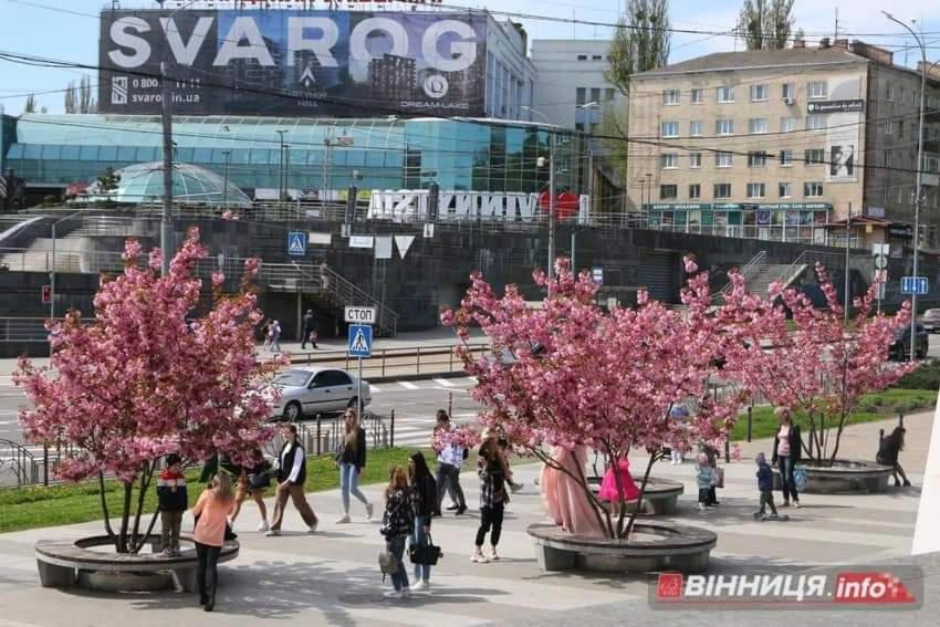 Квартира Центр Βίνιτσα Εξωτερικό φωτογραφία